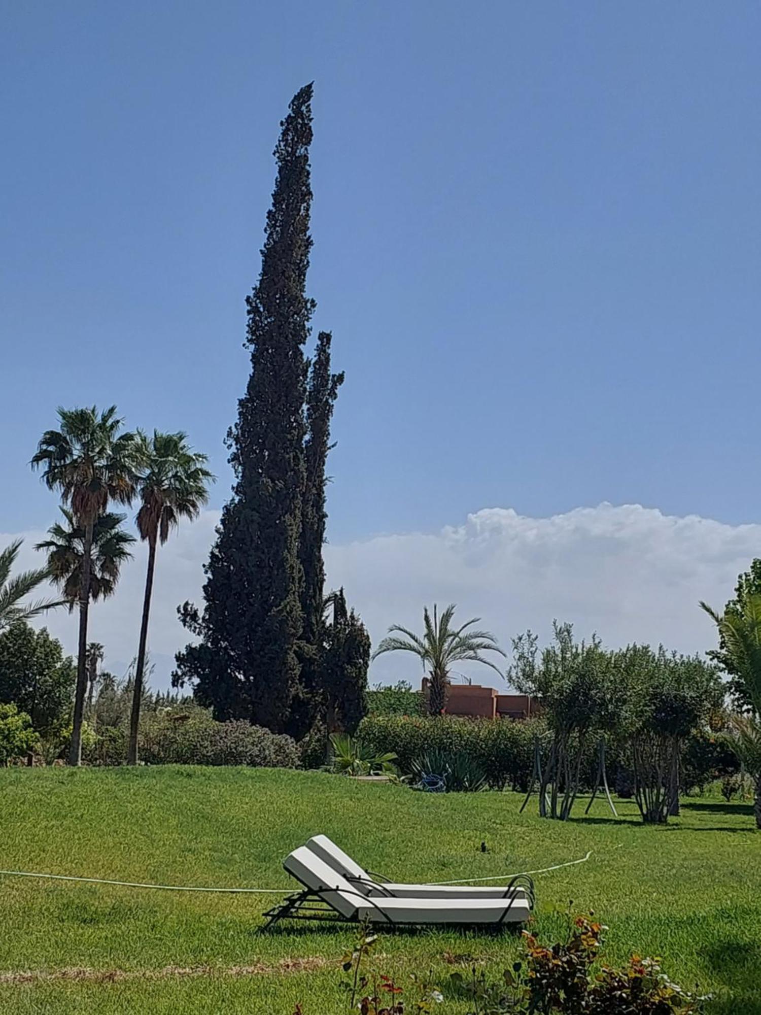 Palais Les Sources De L'Atlas & Spa El Harkat 외부 사진